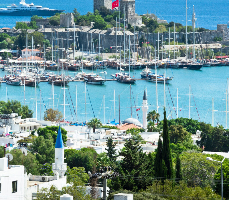 Property 1=Rectangle 130