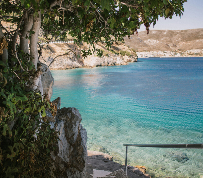 Property 1=Rectangle 133