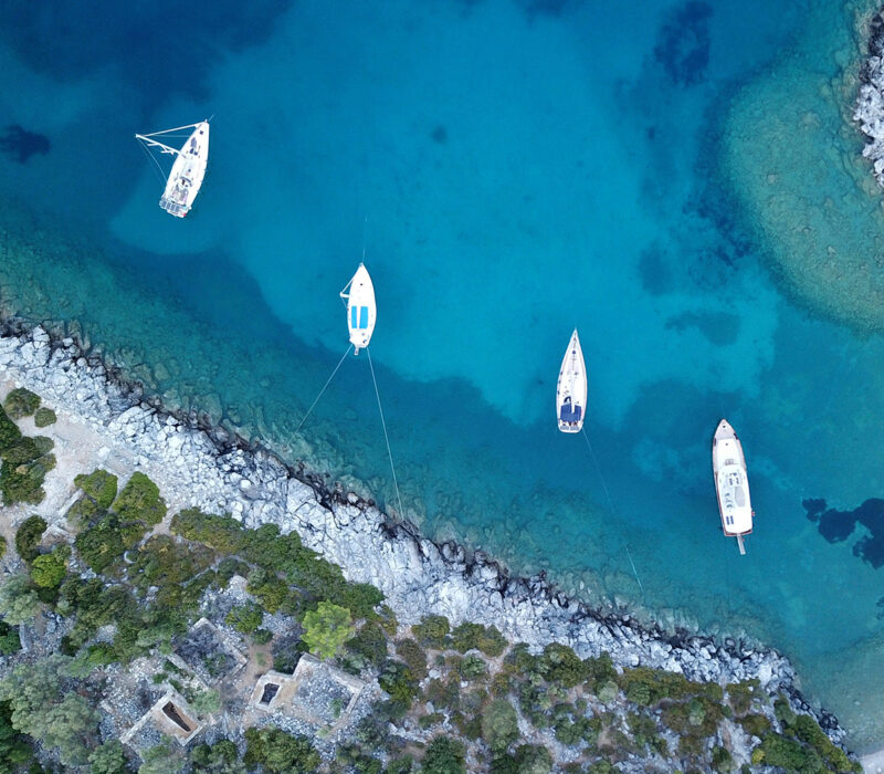 Property 1=Rectangle 134