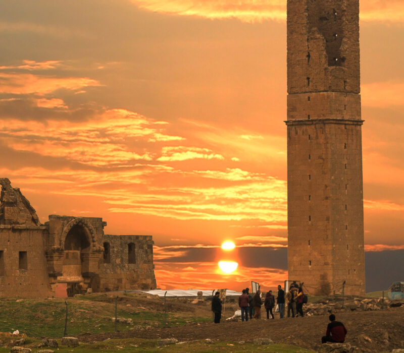 Property 1=Rectangle 134