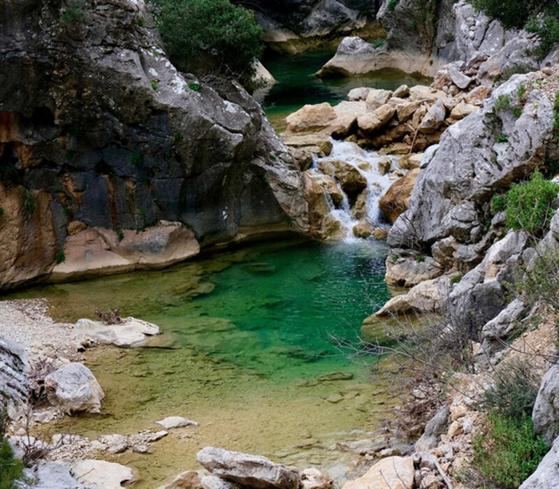 Property 1=Rectangle 135