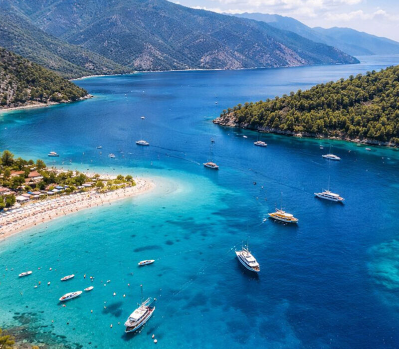 Property 1=Rectangle 135