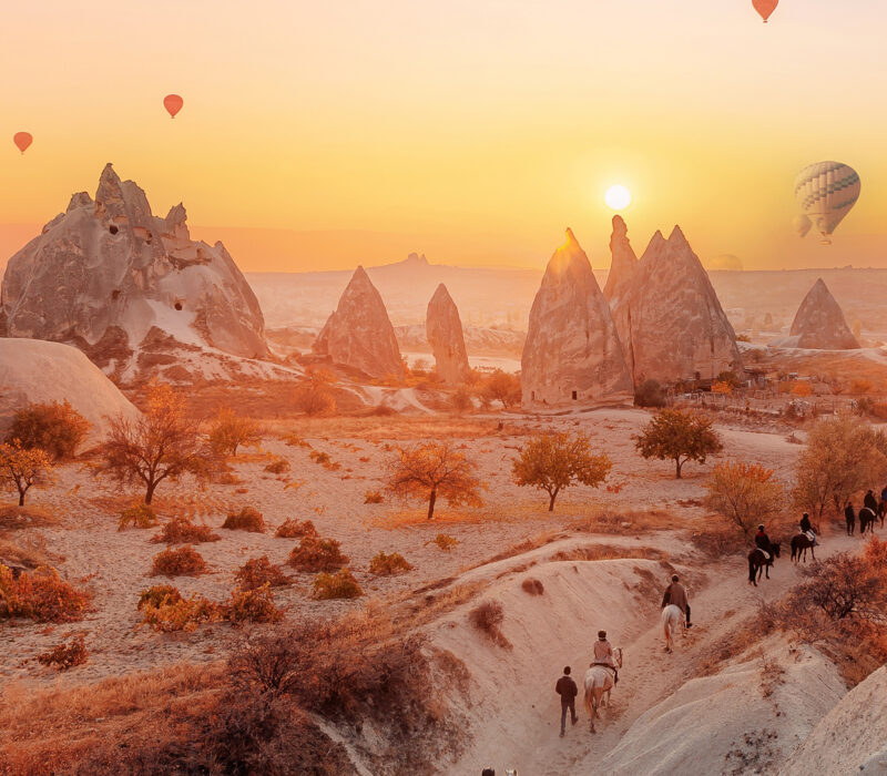 Property 1=Rectangle 136