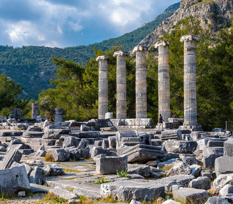 Property 1=Rectangle 136