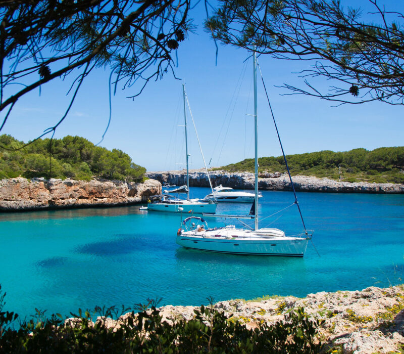 Property 1=Rectangle 136