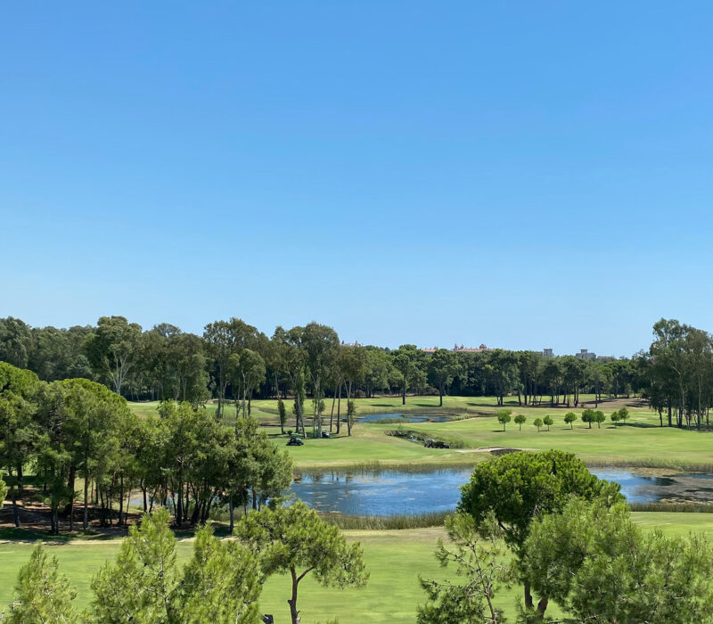 Property 1=Rectangle 137