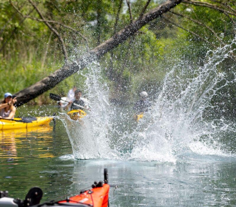 WhatsApp Image 2026-04-20 at 11.40.51